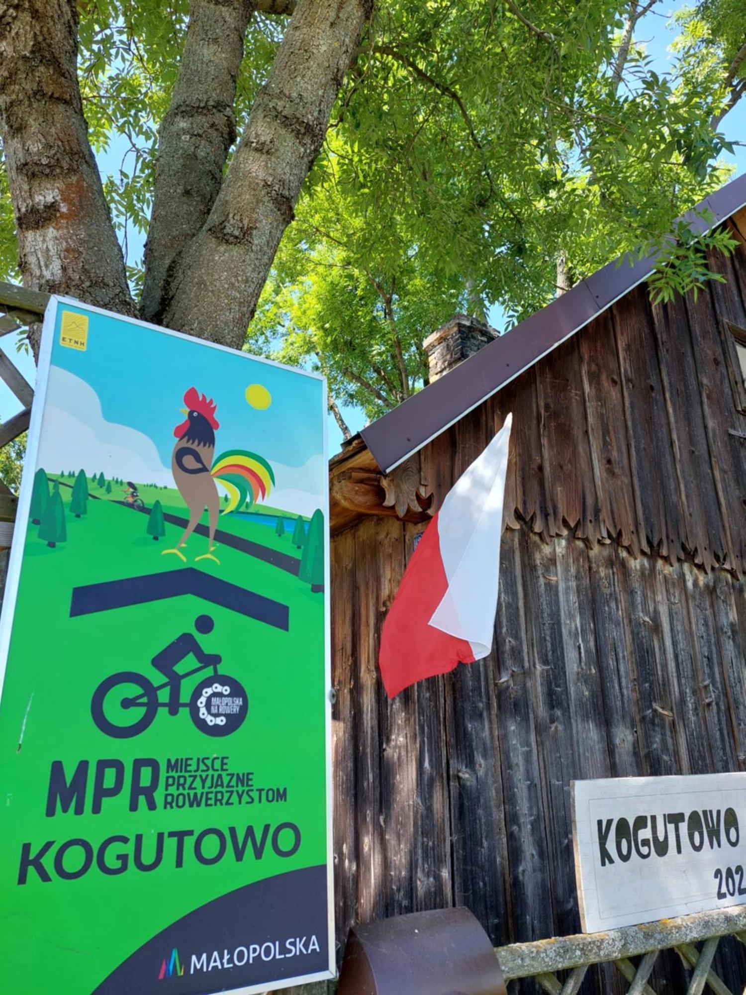 Pole Namiotowe Kogutowo